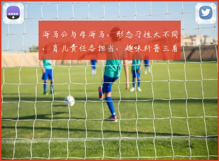 海马公与母海马，形态习性大不同，育儿责任各担当，趣味科普三看点，